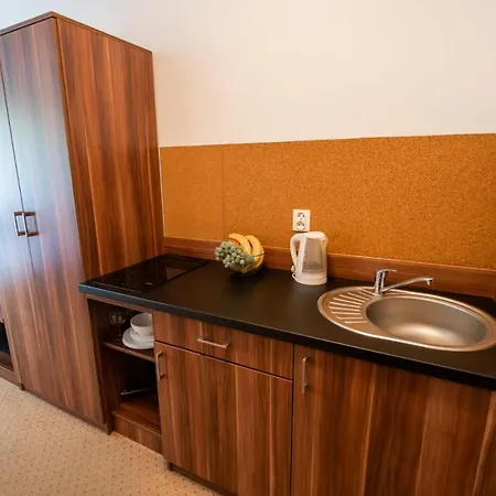 Apart-invest Nieruchomości 31 Apartament Szklarska Poręba